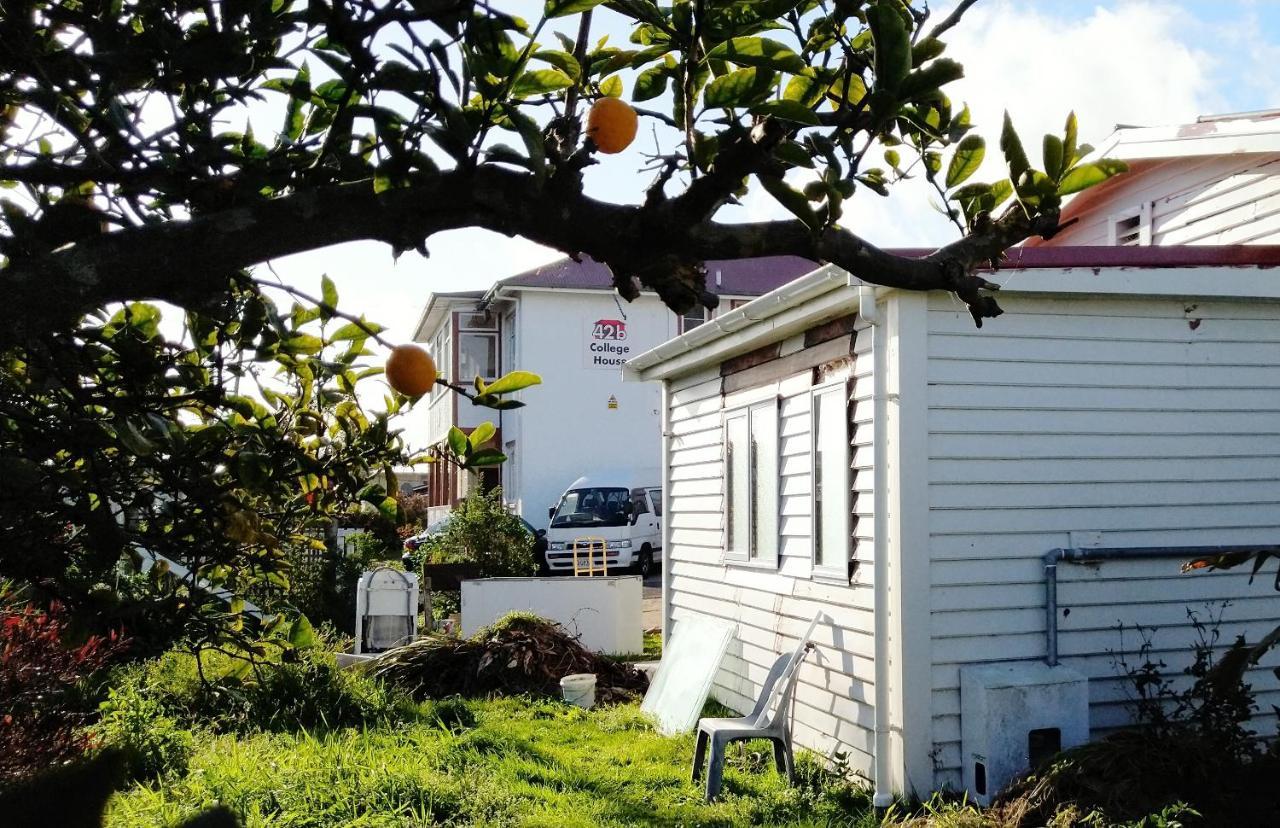 42B College House Hostel Whanganui Kültér fotó
